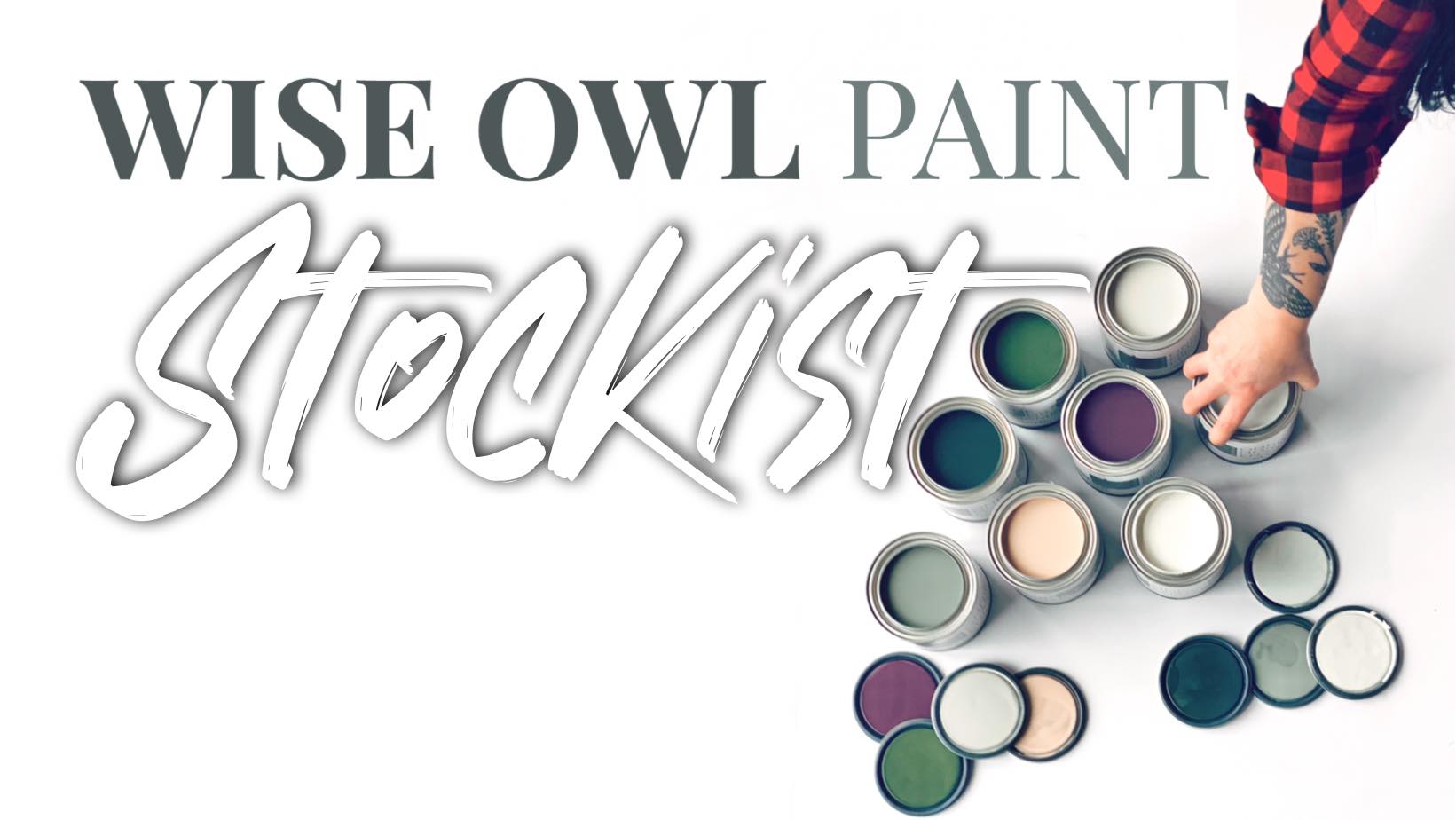 Stingray Paint Sprayer - Wise Owl Paint